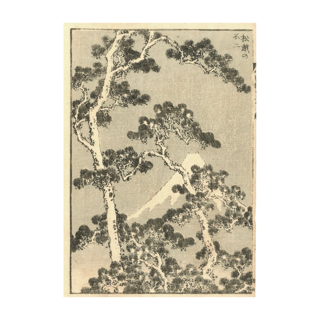 HOKUSAI KATSUSHIKA, Il Fuji fra i pini, Matsugoshi no fuji , n.45
