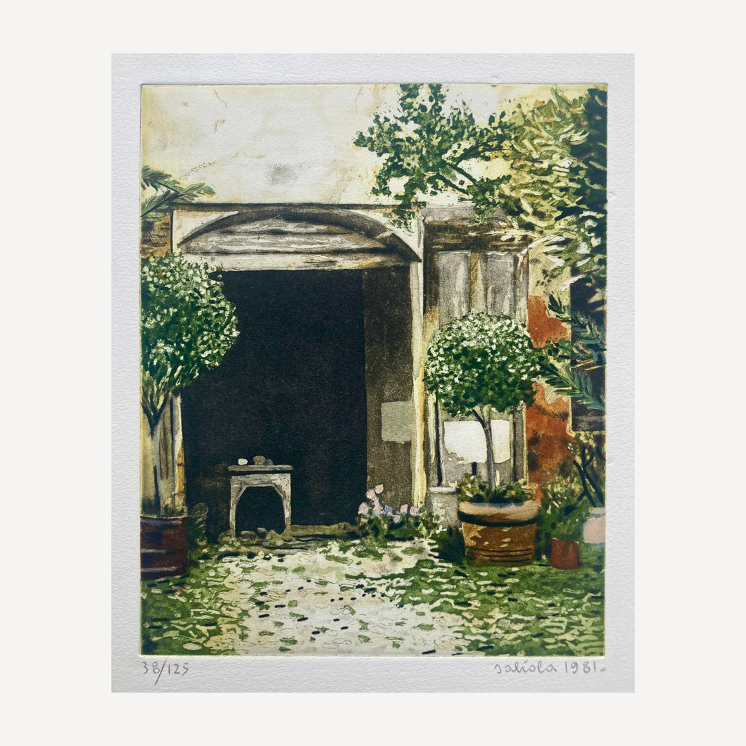 SALIOLA ANTONIO, L’angolo delle piante, 1981